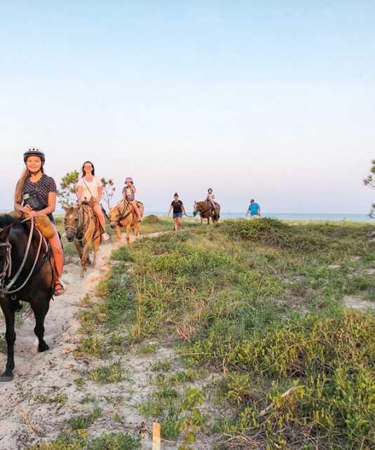 Marnie Island Preserve - Land