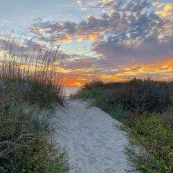 Marnie Island Preserve - Land