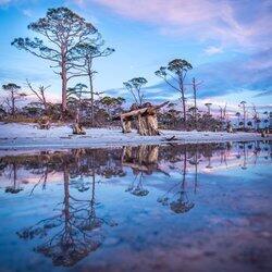 Marnie Island Preserve - Land
