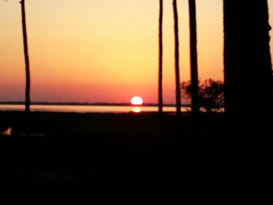 This Bay front lot is the first privately held property on the mainland that is at the head of the Bay.  Lot has underground power and phone.  Property is contiguous to Salinas Park and within walking distance to Cape San Blas Bike Path and Salinas Park entrance.  It is also approximately 1/4 mile from the St Joe Buffer Preserve Entrance.  Property owner will also have access to the Bay through the boardwalks and kayak/canoe launch in Marnie's Island Preserve to enjoy fishing, scalloping, kayaking, or canoeing and sensational sunsets.  Sewer tap with sub out is paid.  Culvert and driveway in place.  Owner is a licensed real estate broker.