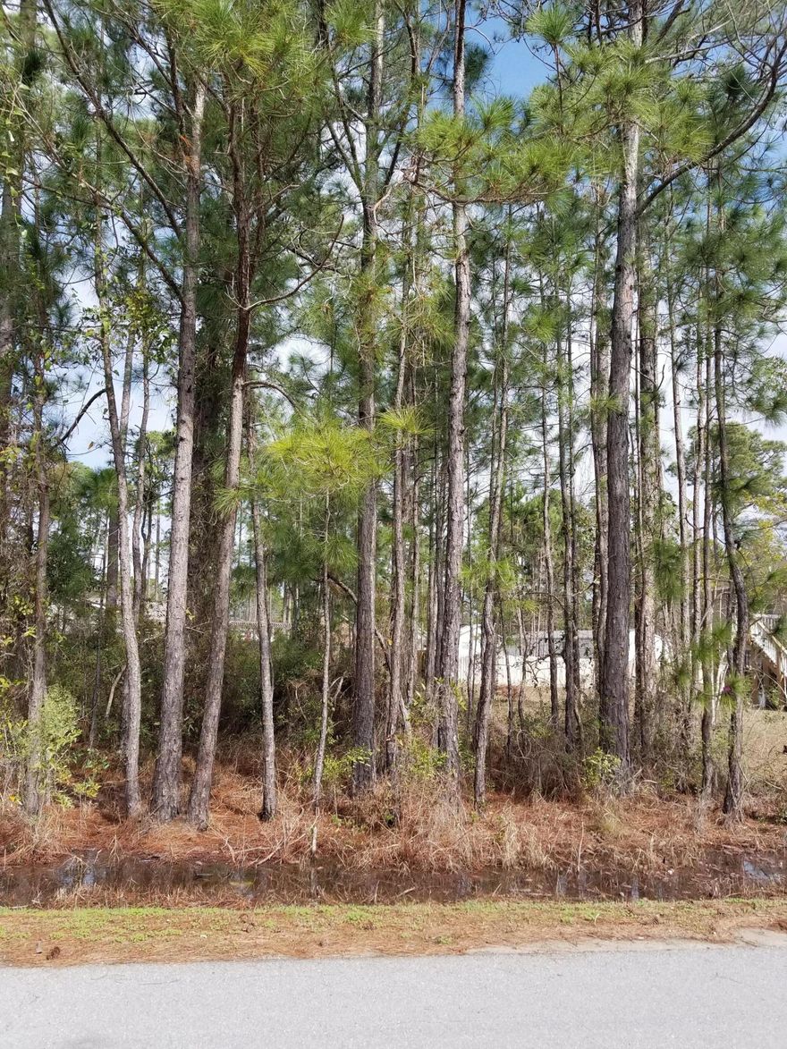 Beautiful Wooded lot, perfect to build your dream home, or have divided and build 2 homes. One dream home and one as investment. Near Sacred Heart Hospital, Walmart and short drive to 30A and white sand beaches. build your home with my preferred home builder. Lot 16 also available for purchase.