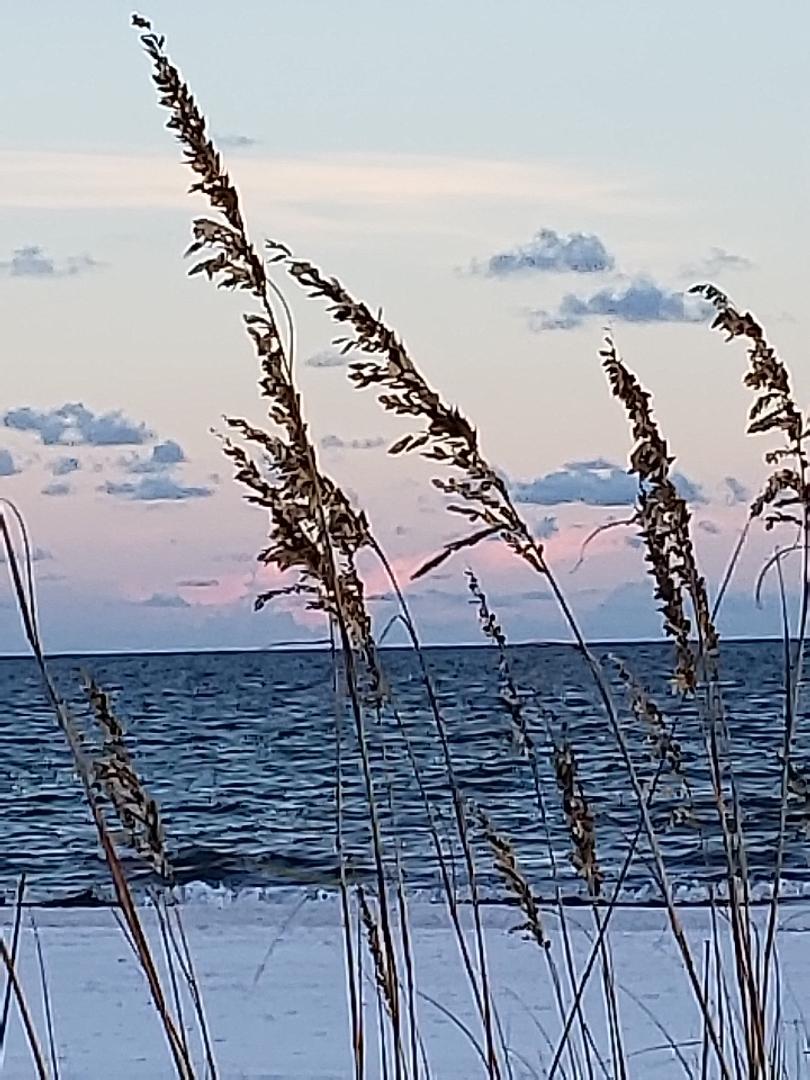 BEACH COMMUNITY OPPORTUNITY! Buy in Navarre! Great Primary or Secondary Home and/or Investment Property. No HOA! All Brick 4 Bedroom Home on a Cul-De-Sac Street. This low maintenance home backs up to a wooded conservation area allowing for privacy. Within miles of the Navarre Beach Bridge. Navarre Library is a block away. Near Hwy 87 with easy access to I-10. All the Restaurants, Grocery Shopping and Necessities are within easy reach. Roof and HVAC 2024! NO CARPET! This wonderful layout affords privacy for everyone. Eat-In Kitchen and a Dining Room. Large Family Room. Inside Laundry. 2 Car Garage to store Water Toys and Lawn Equipment. Both Covered and Open Back Patio areas for Grilling and Bird Watching. MUST SEE! Buyer to verify all pertinent info