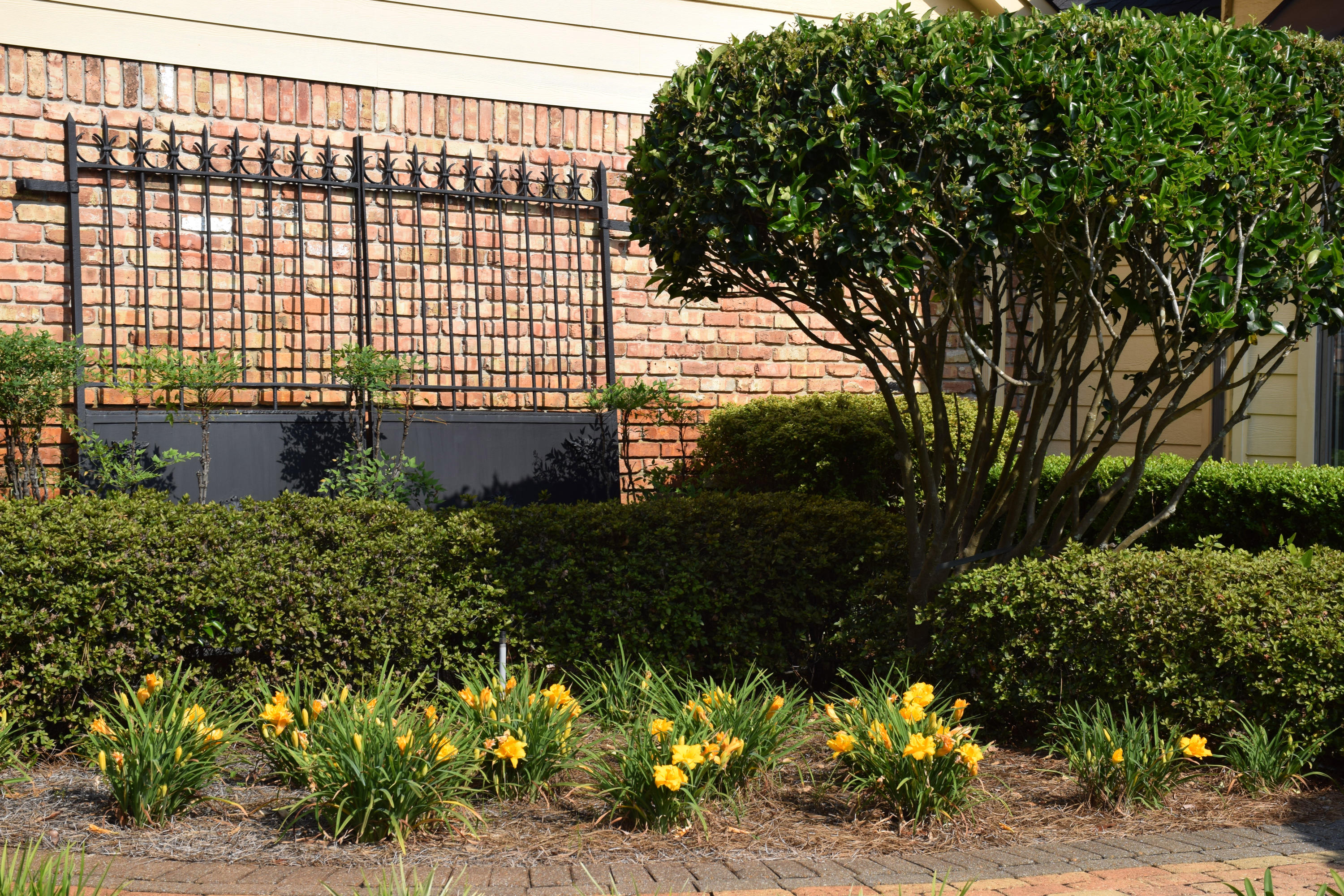 SOUTHWIND PH 2 - Residential