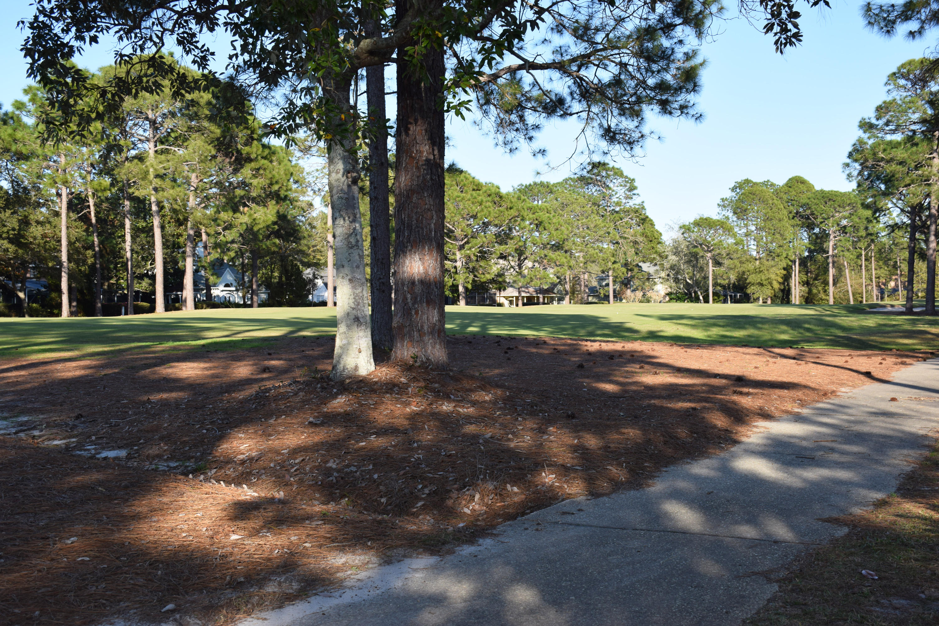 SOUTHWIND PH 2 - Residential