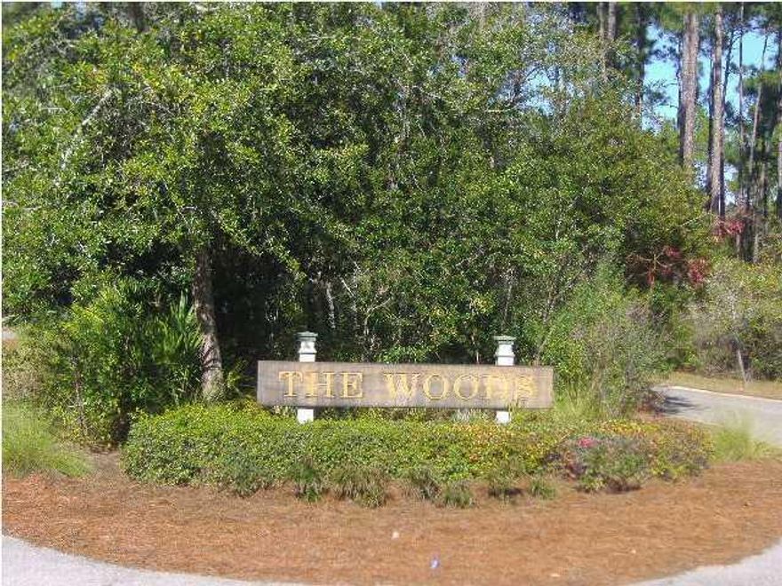 The Woods in Point Washington features a bay front park and boat dock. This large estate size lot is the perfect location to build a private home. Just a short drive to the beach.