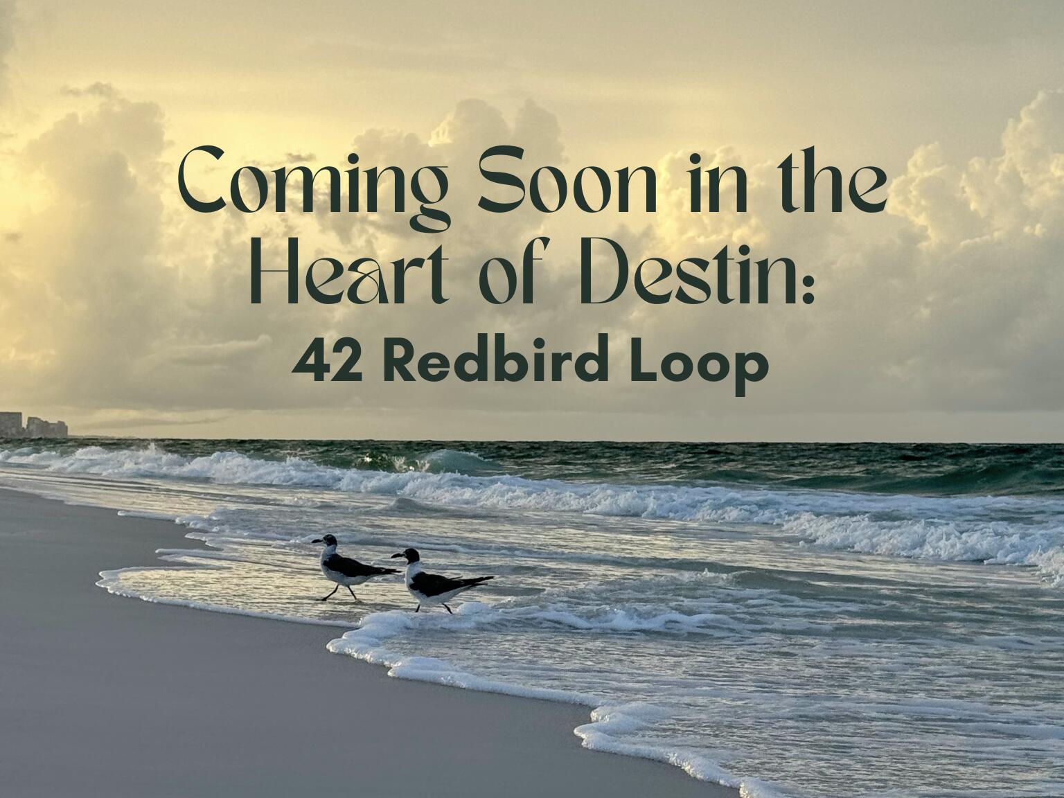 Coastal charm and thoughtful upgrades come together in West Destin's Harbor Place community. Built in 2023 and located in Flood Zone X, this move-in ready luxury townhome is just minutes from some of our area's most beloved dining, entertainment, parks, and more. It is one of the few units with a double driveway and the extended lot backs up to a wooded area for added privacy. The open-concept layout features quartz countertops, all LVP flooring, 9' ceilings, recessed lighting, and window blinds. Seller upgrades include professionally-installed shiplap accent wall, kitchen tile backsplash, garage shelving, customized back deck leading to a paver patio, updated ceiling fans, and a premium Bosch refrigerator. No short-term rentals. Come live like a local in the heart of Destin!