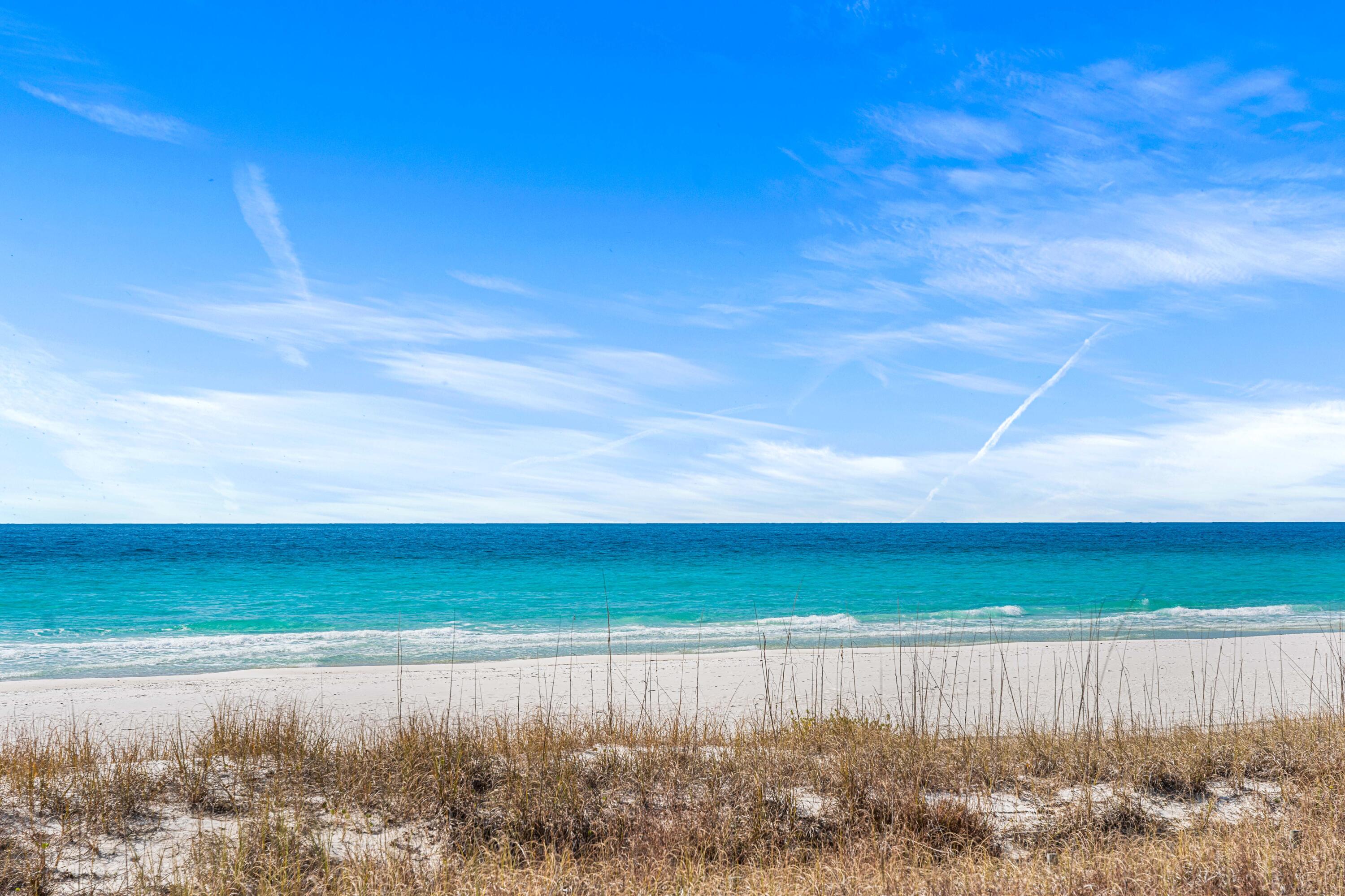 Kelly Street Pines - Residential