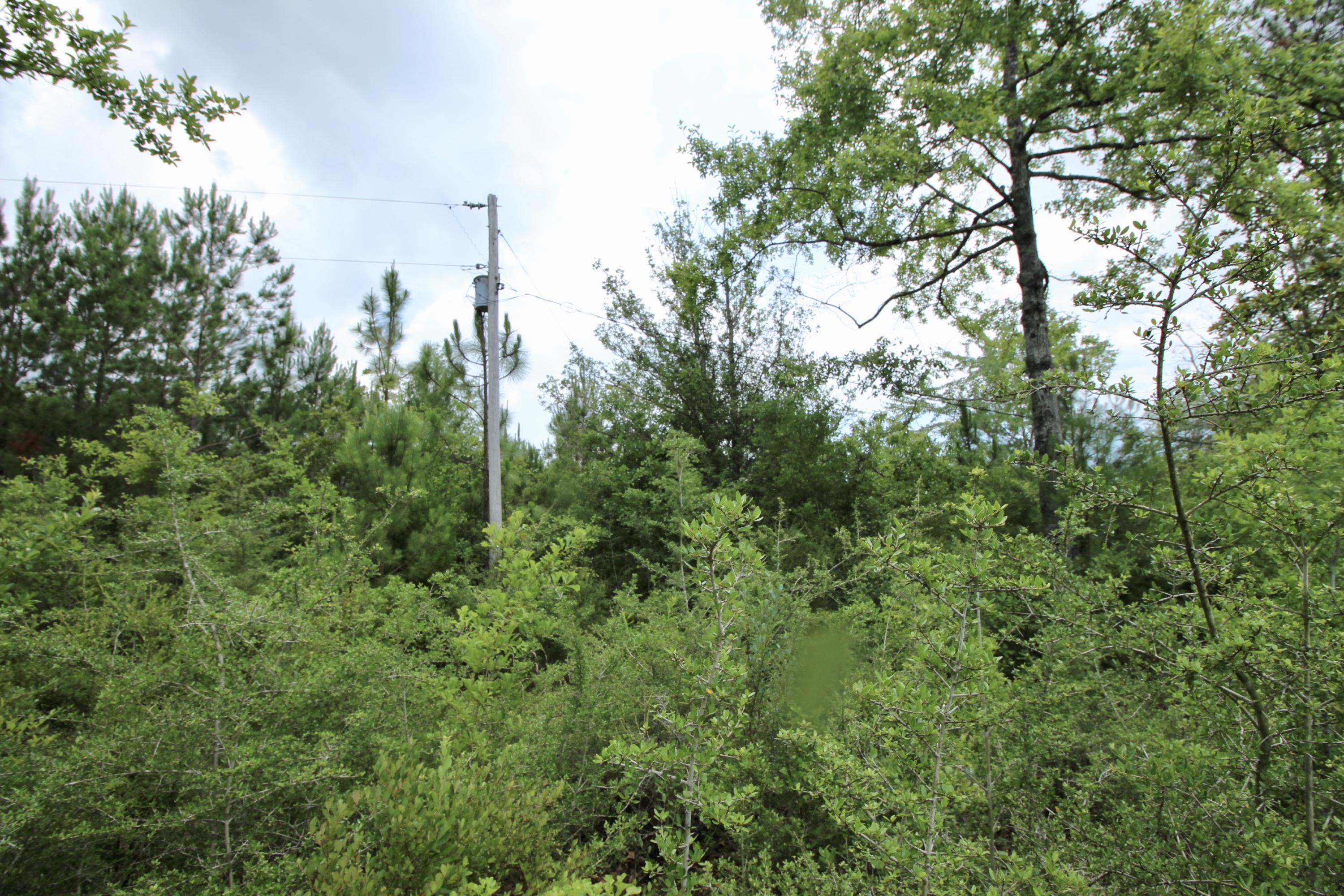 METES & BOUNDS - Land