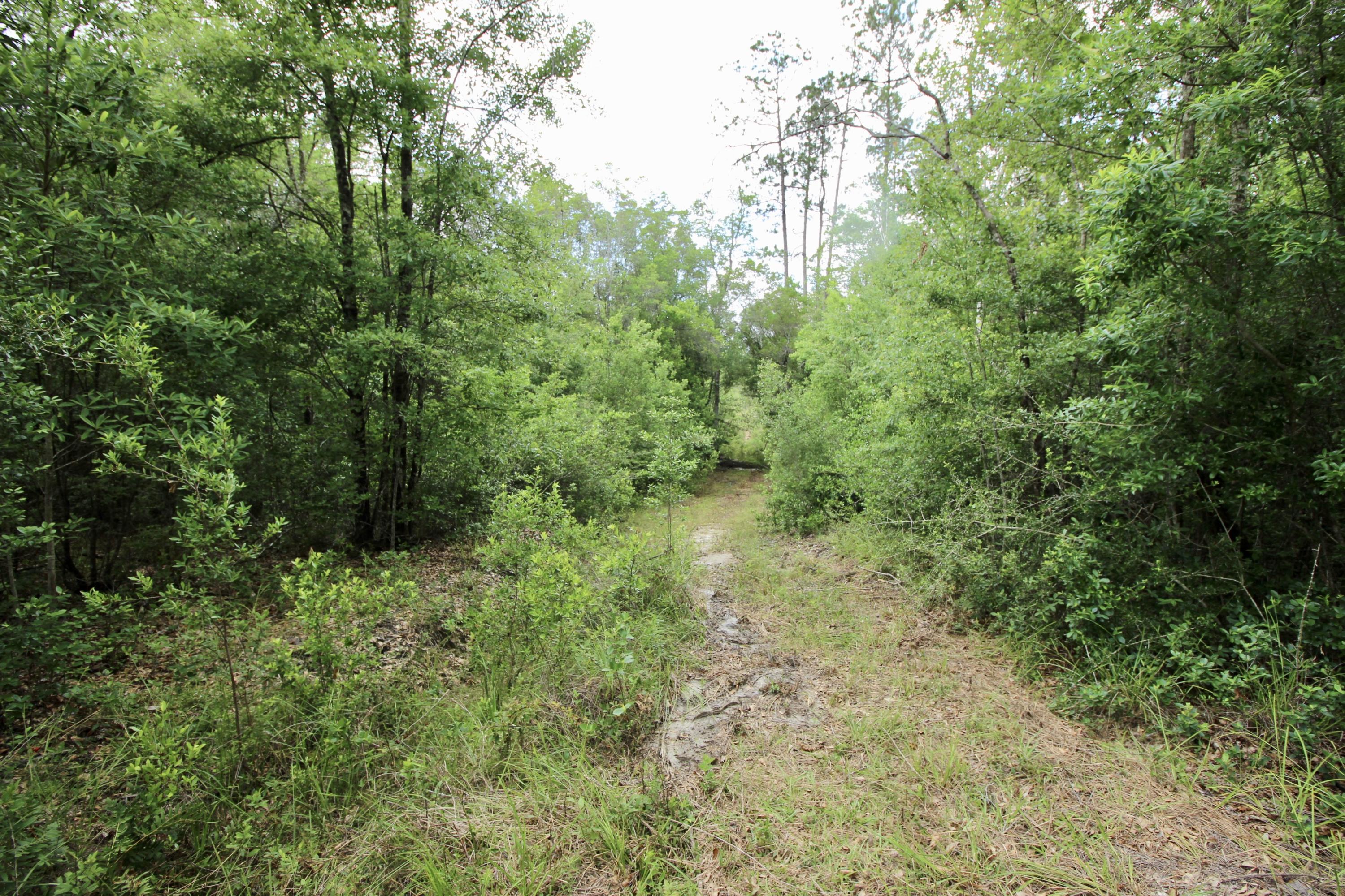 METES & BOUNDS - Land