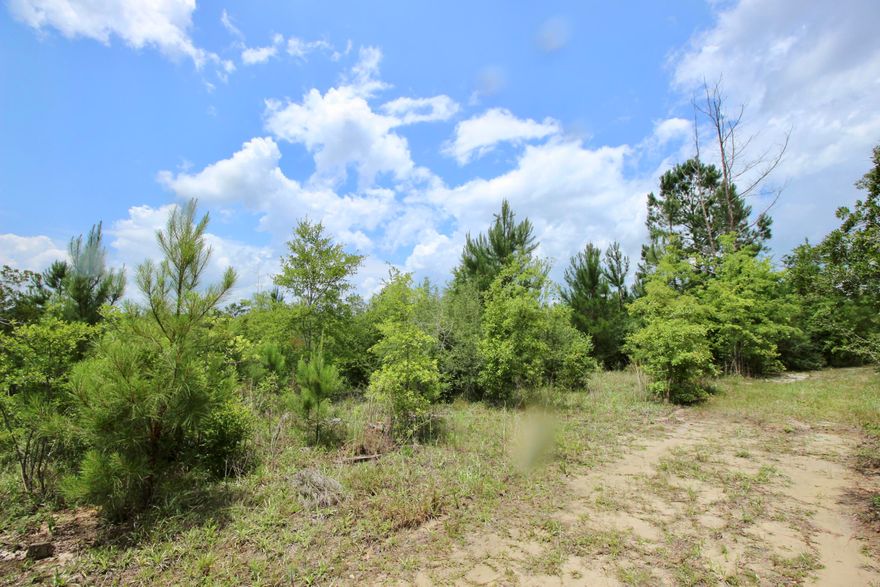 40 acres on Wolf Creek just north of Mossyhead in the Crowder Chapel area. Young, natural growth trees along with a few mature trees scattered. Several level areas for homesites, then sloping gently down to the creek. Creek is not the boundary line; property on both sides of the creek. Sellers say in other areas, the creek is 2-3x as wide as photographed. Currently there is a bush hogged trail to the creek. Significant value in that electricity is already run to an old camp site that is quite a distance in to the property. There is also a deep well that when power was last on, worked fine. However, sellers do not guarantee operability or condition of well. Access is by easement off Hinote Rd. Priced attractively at $2150/acre!