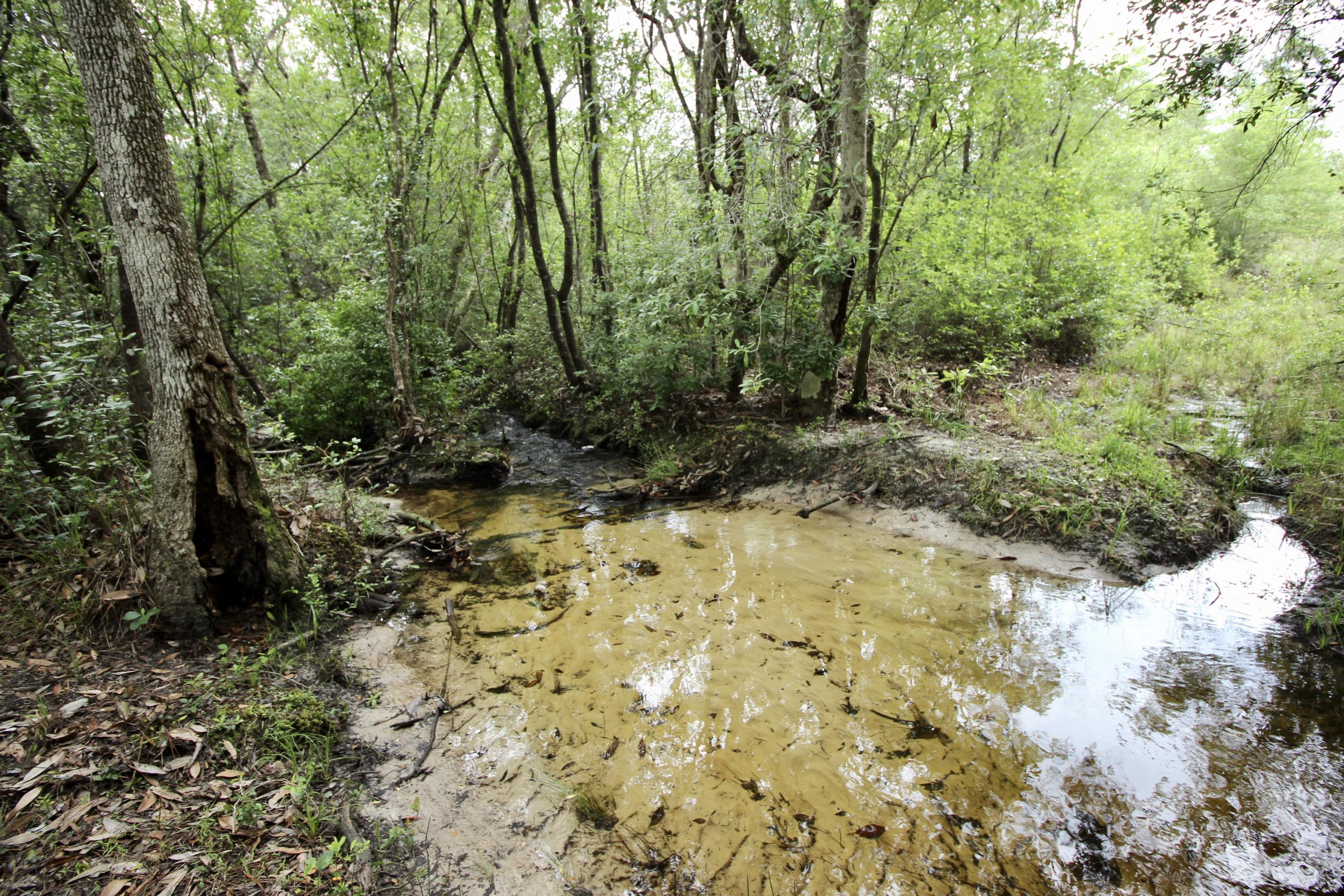 METES & BOUNDS - Land