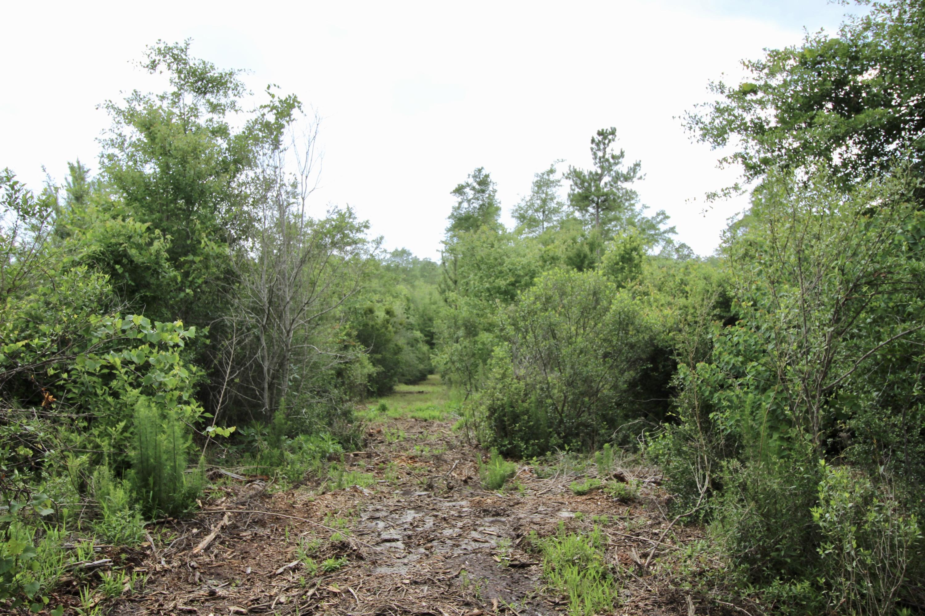 METES & BOUNDS - Land