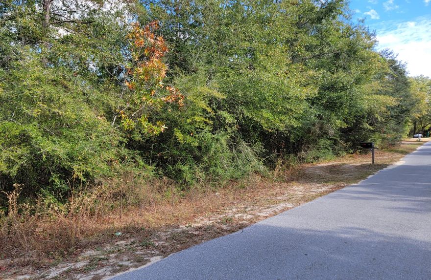 Discover your ideal haven for relaxation! This lot awaits your vision to craft your dream home. Nestled in a prime location, this parcel sits just a mere half-mile from Hwy. 331 North, ensuring convenient access to all the essential amenities. And, you're only 1.3 miles away from the southern boat ramp of Juniper Lake, a stunning 665-acre water oasis teeming with bream, bass, catfish, and crappie!  And, just across Hwy. 331 N. is also Holly Lake and Kings Lake!  This opportunity won't last long, considering its proximity to these beautiful lakes. Seize the moment and take the first step towards creating your future oasis. Call today to make this one all yours!