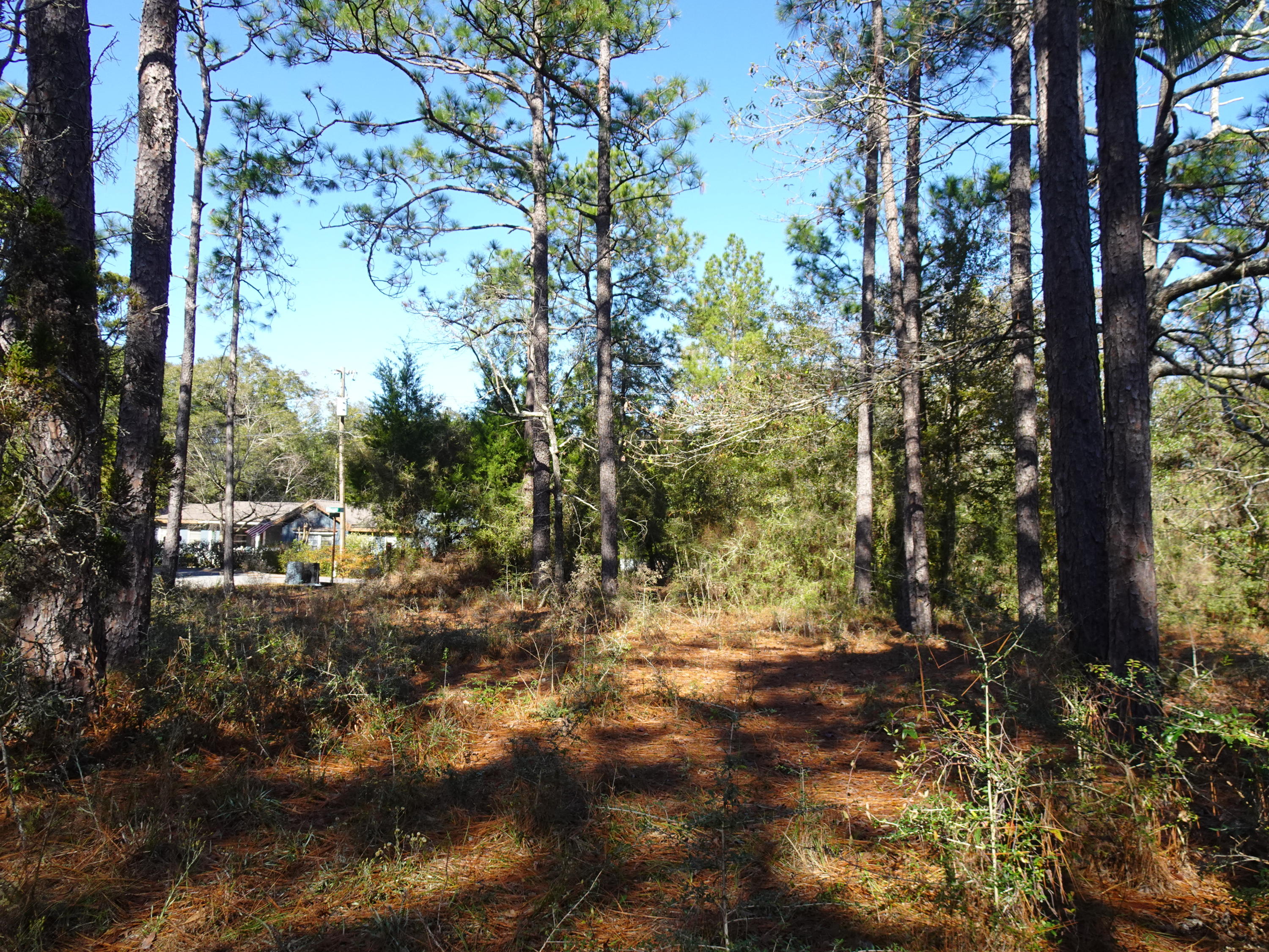 Metes and Bounds - Land