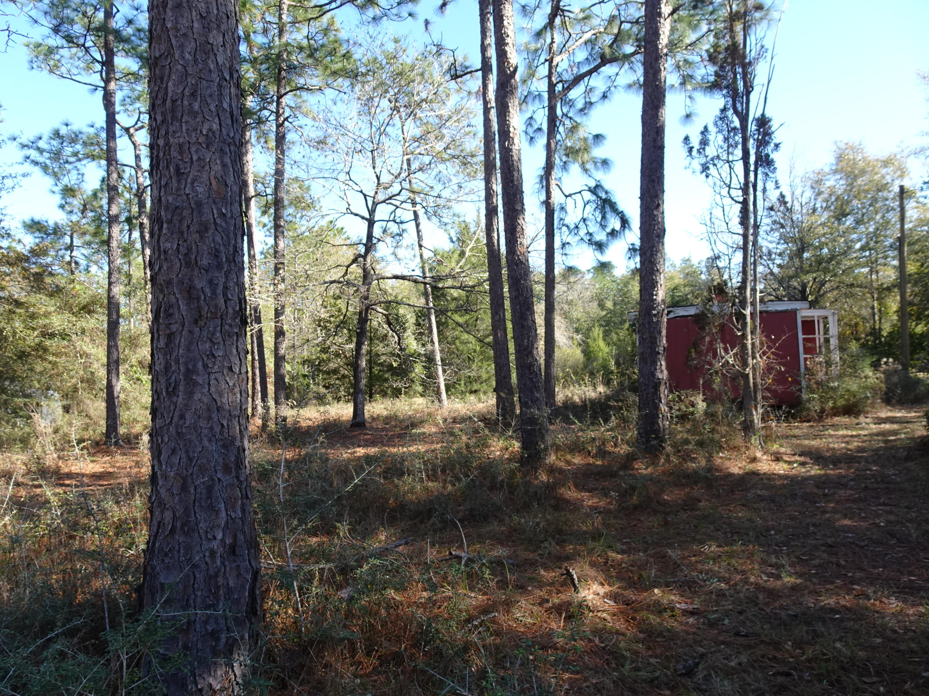 Metes and Bounds - Land