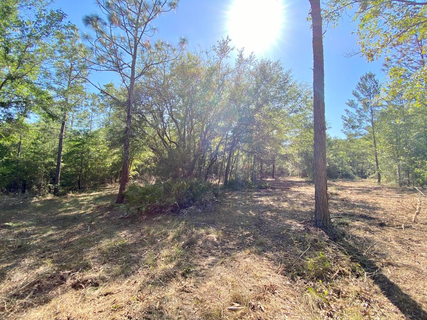 Beautiful remote 4.6 wooded acres for sale just west of Defuniak Springs in the Mossy Head area. Seller had some of the property underbrushed and recently surveyed and added a culvert driveway. Come build your dream home or a manufactured home is allowed. Don't let this one get away.