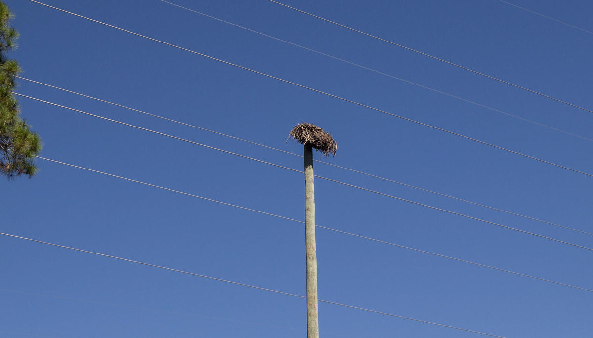 RIVERCAMPS ON CROOKED CREEK PH 2 - Residential