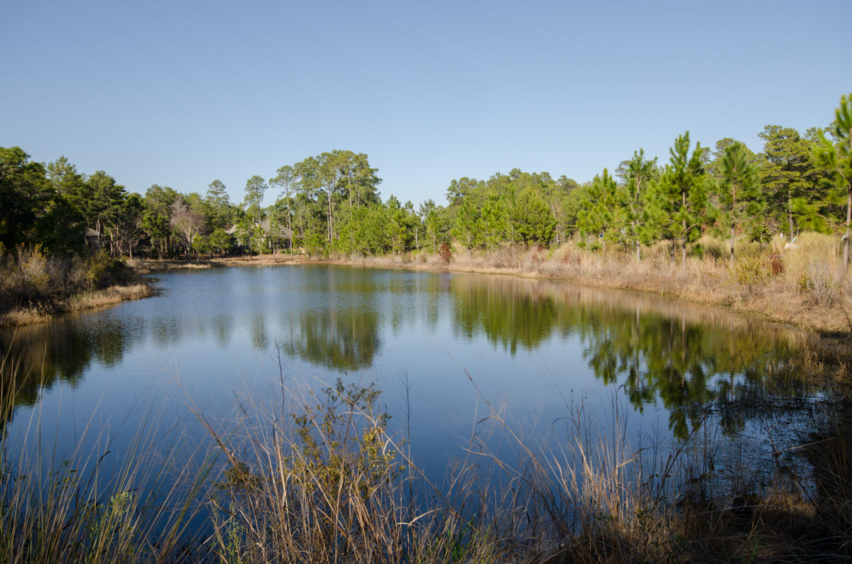 WILD HERON LINKSIDE - Residential