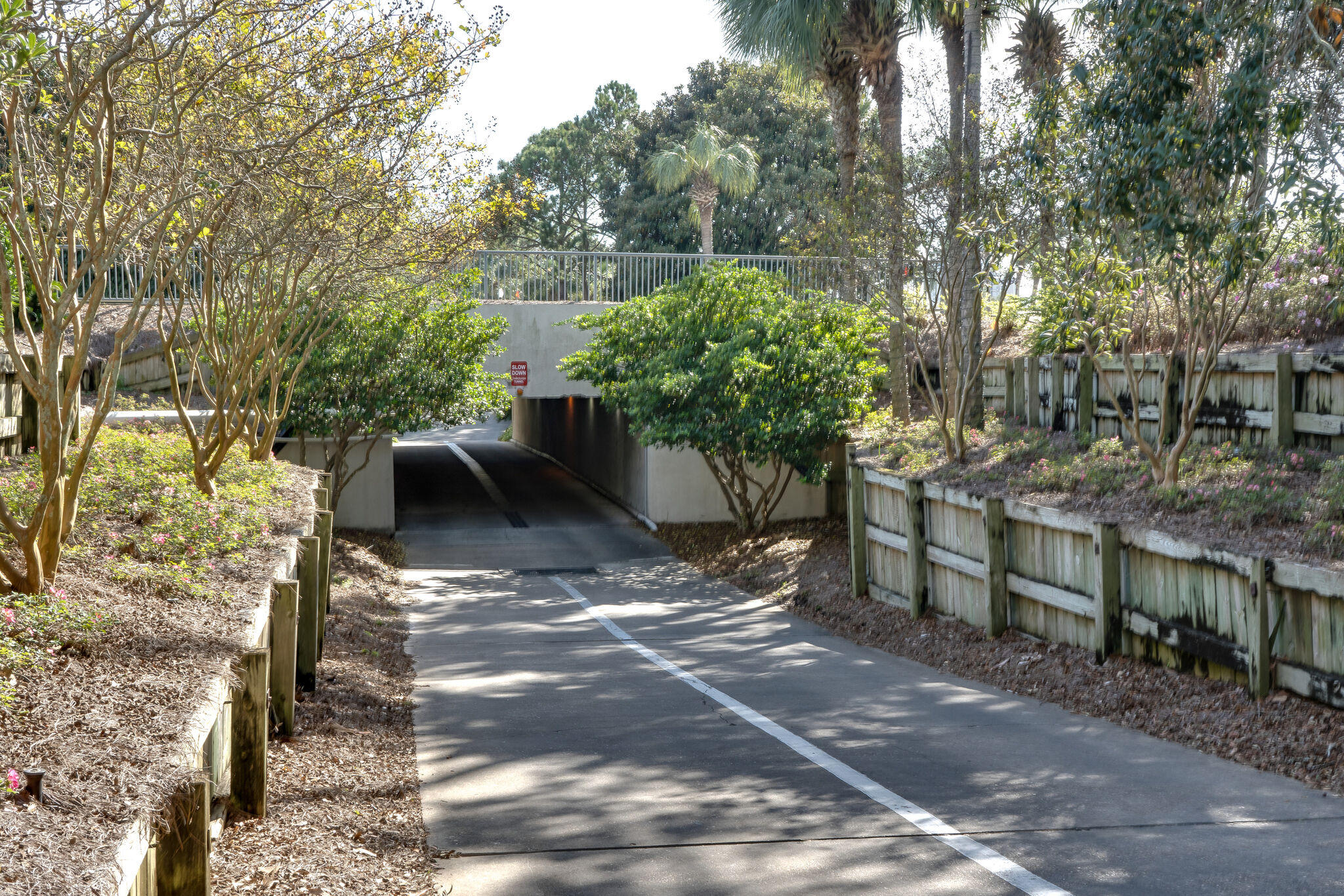 OBSERVATION POINT - Residential
