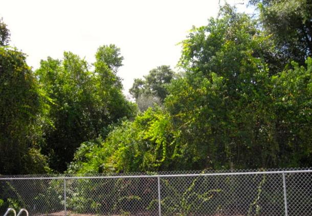 BAYOU WOODS 3RD ADDN - Residential