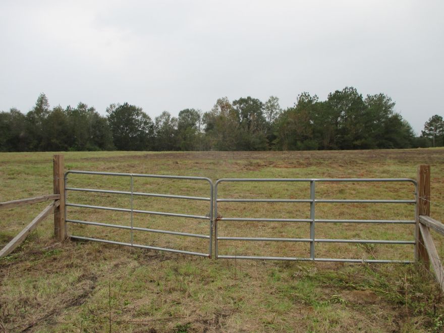 You're going to want to see this beautiful property located on a paved road in north Walton county. Used as a vegetable farm so is mostly cleared. Wet weather pond on the back of the property and a power pole also. Great location to build your home or set up a mobile home. This won't last long. 2011 survey available. Any important information to be verified by buyer.