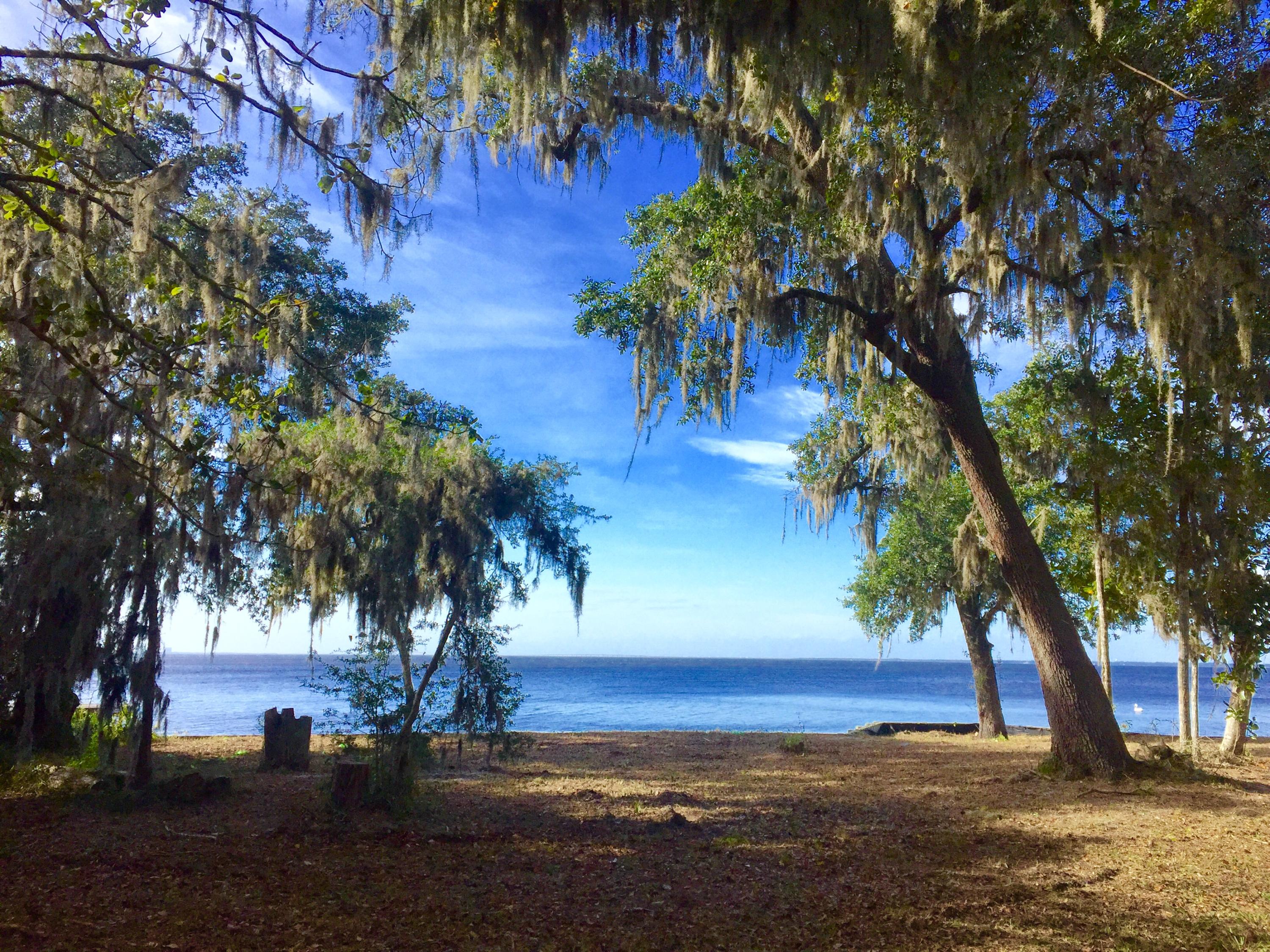 Lots 3 & 4 of The Oaks have been assembled to sell as one lot, creating one of the most unique bay front properties in all of Burnt Pine. This beautiful home-site has several majestic oak and magnolia trees and offers spectacular sunset views over Choctawhatchee Bay. This lot is located conveniently close to shops and restaurants in Grand Blvd and The Village of Baytowne Wharf. Sandestin features 4 golf courses, a 93 slip marina, tennis courts, and much more.