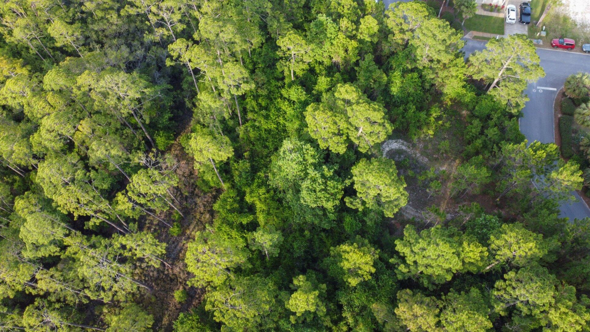 LOT 28 BLK A MACK BAYOU ESTATE S/D PB 14-25 OR 2288-1876 OR 2573-1156 OR 2654-3694 - Land