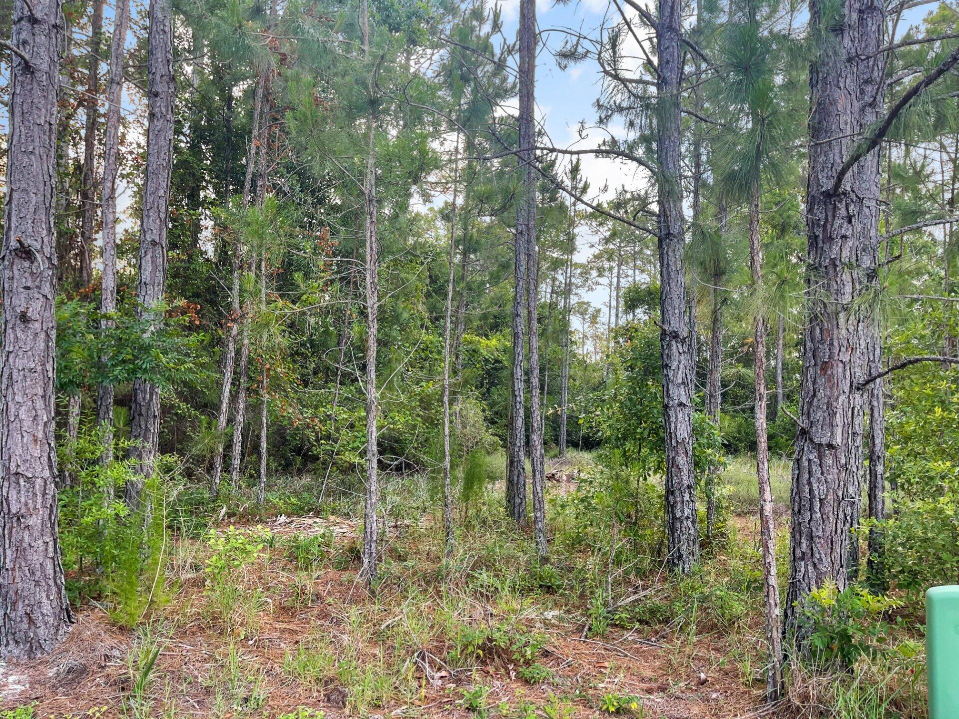 LOT 28 BLK A MACK BAYOU ESTATE S/D PB 14-25 OR 2288-1876 OR 2573-1156 OR 2654-3694 - Land
