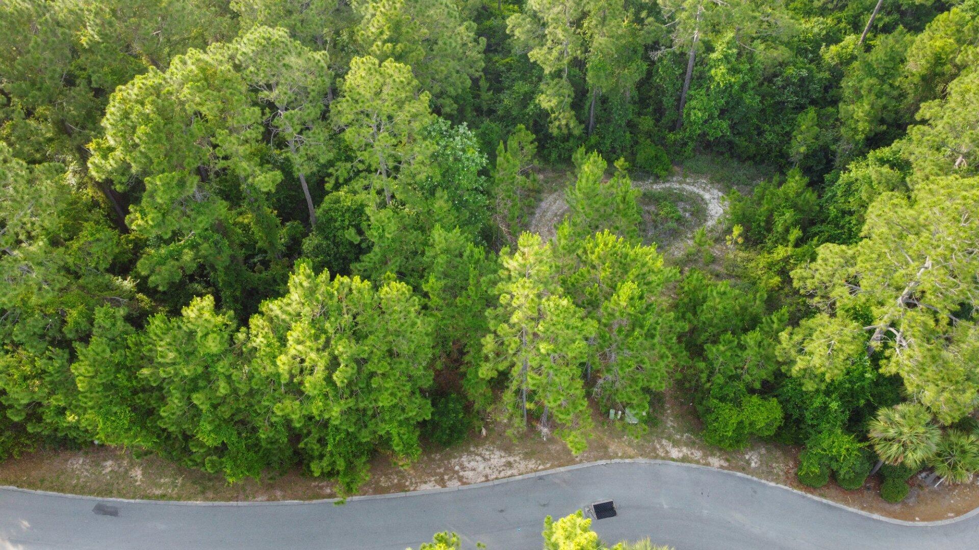 LOT 28 BLK A MACK BAYOU ESTATE S/D PB 14-25 OR 2288-1876 OR 2573-1156 OR 2654-3694 - Land