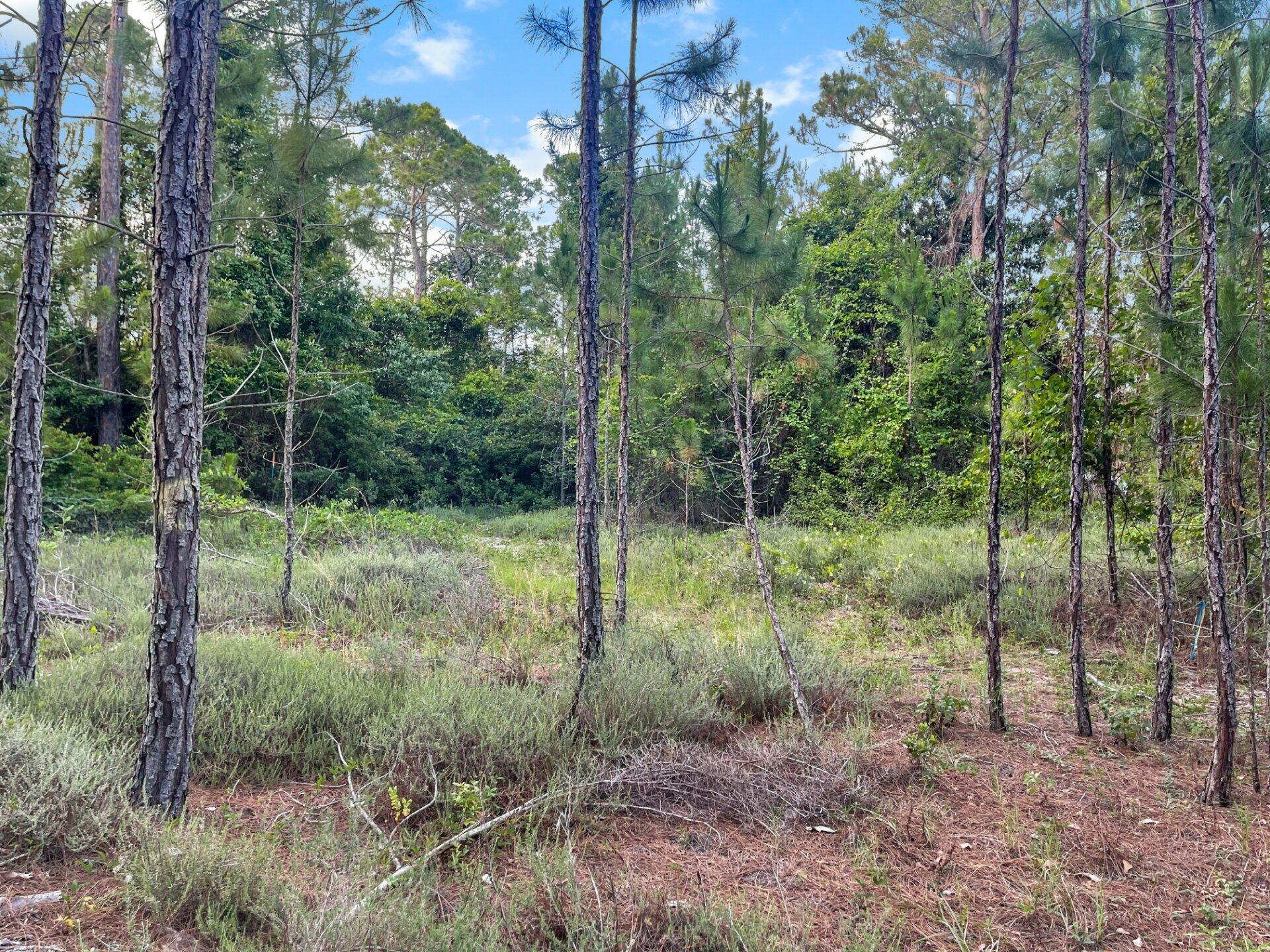 LOT 28 BLK A MACK BAYOU ESTATE S/D PB 14-25 OR 2288-1876 OR 2573-1156 OR 2654-3694 - Land