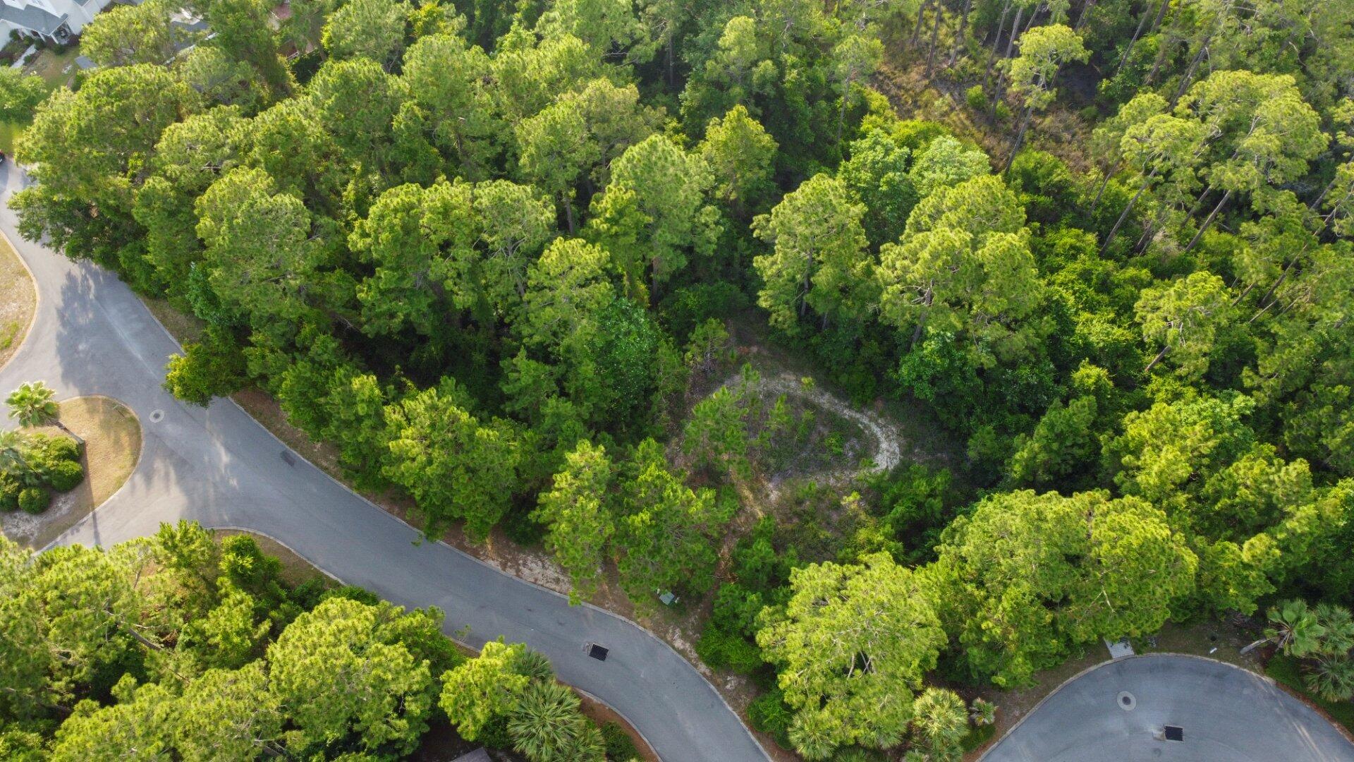 LOT 28 BLK A MACK BAYOU ESTATE S/D PB 14-25 OR 2288-1876 OR 2573-1156 OR 2654-3694 - Land