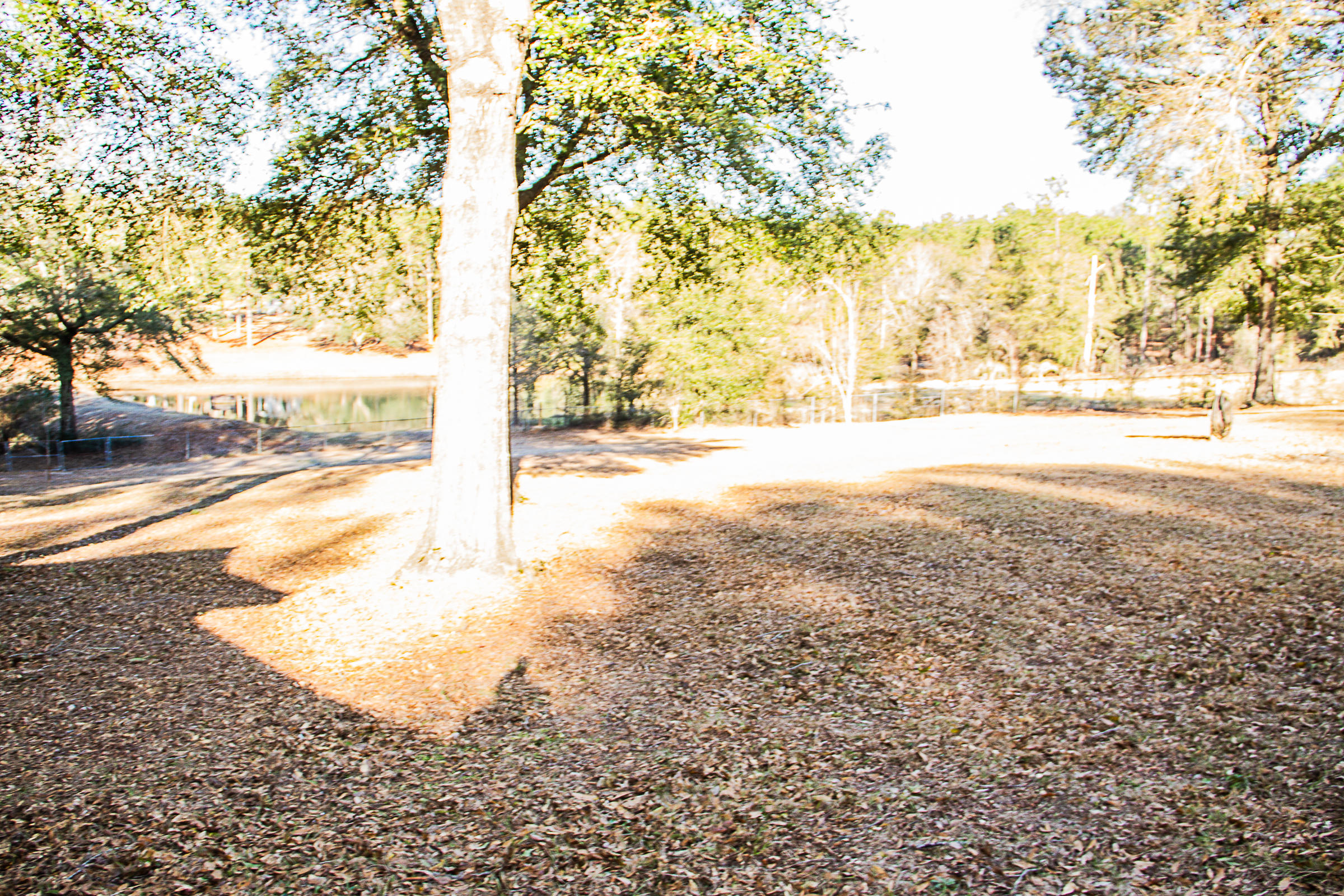 KENNEDY LAKE - Residential