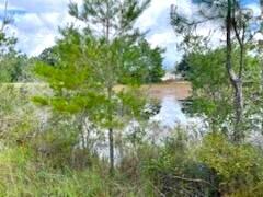 OAKWOOD LAKES ESTATES - Residential