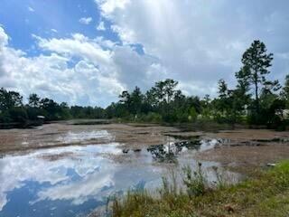 OAKWOOD LAKES ESTATES - Residential