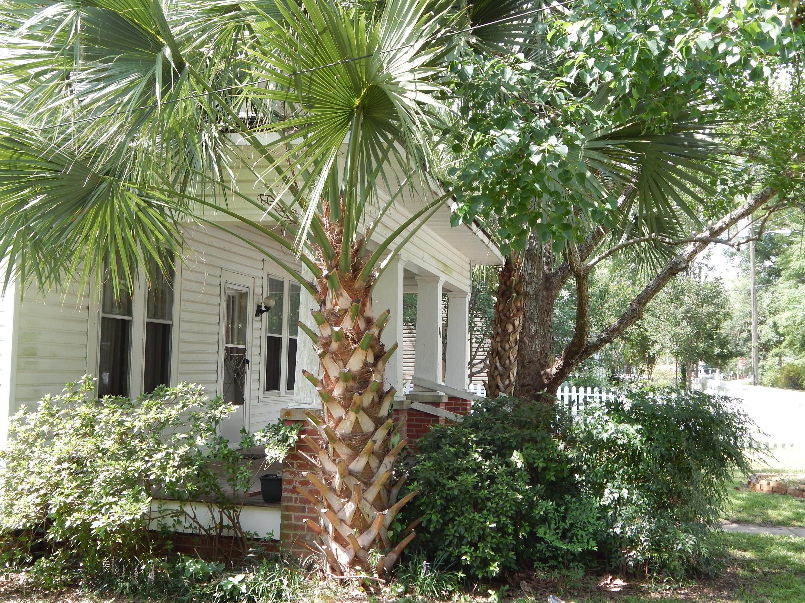DEFUNIAK SPRINGS TOWN OF - Residential