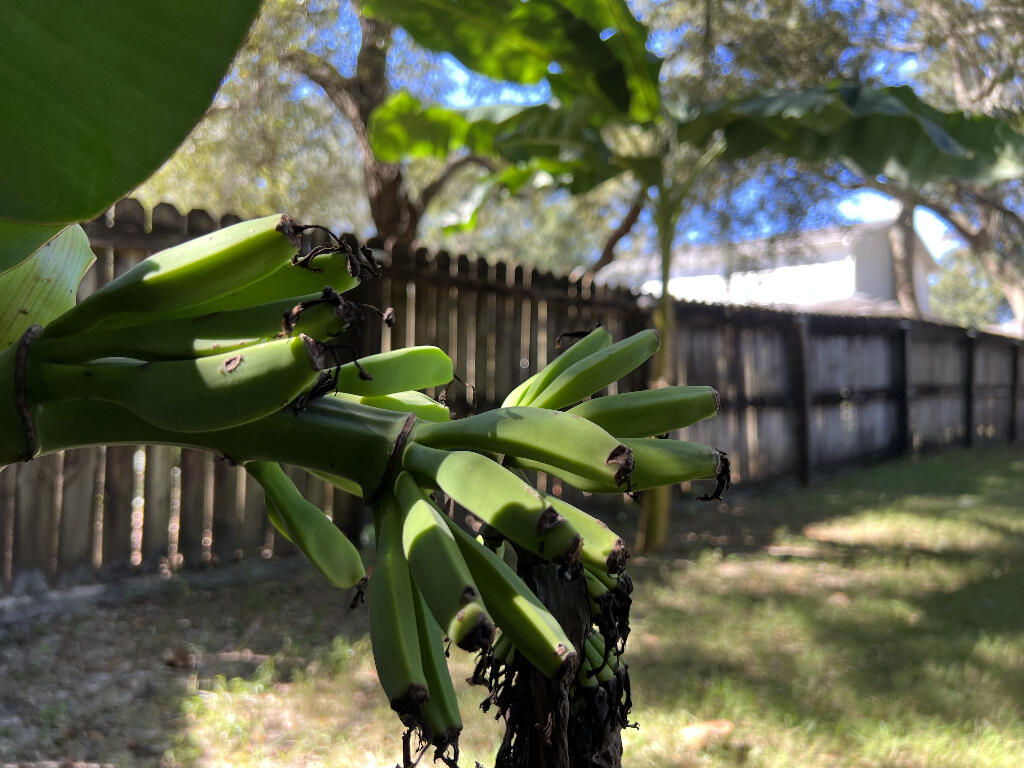 BLUEWATER BAY VILLAGE 1A - Residential