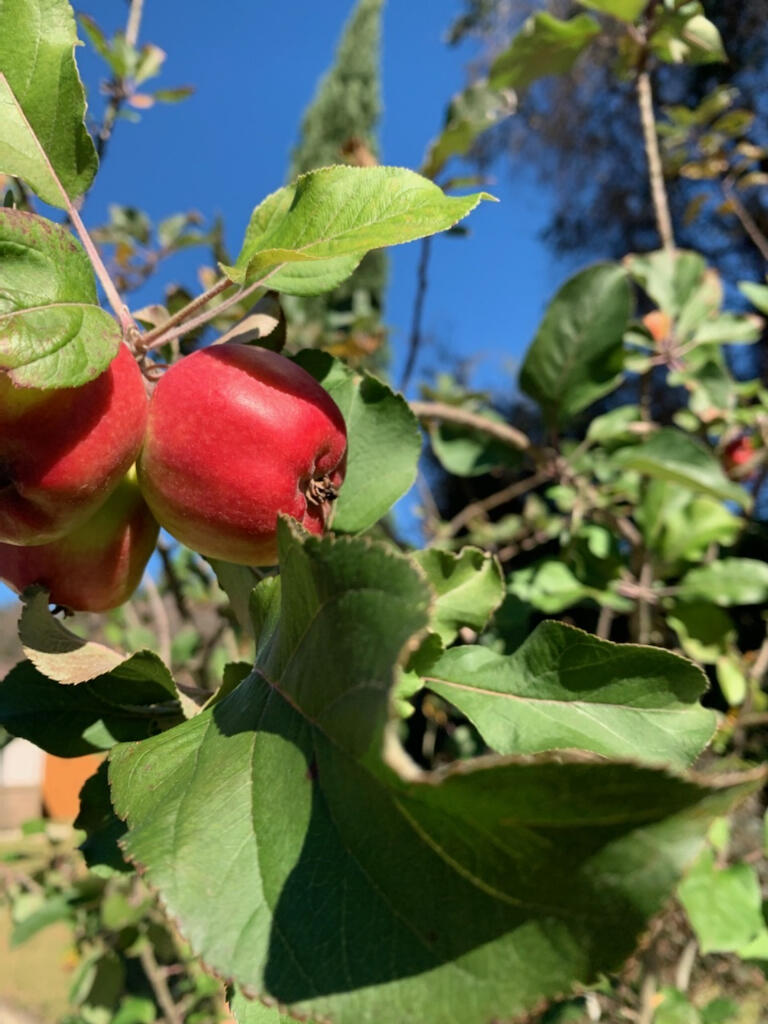 BLUEWATER BAY VILLAGE 1A - Residential