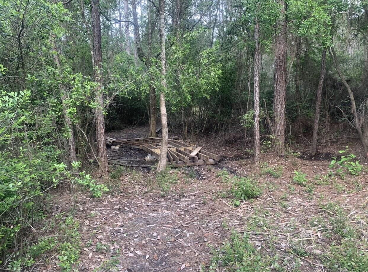 WALTON PLANTATION - Land