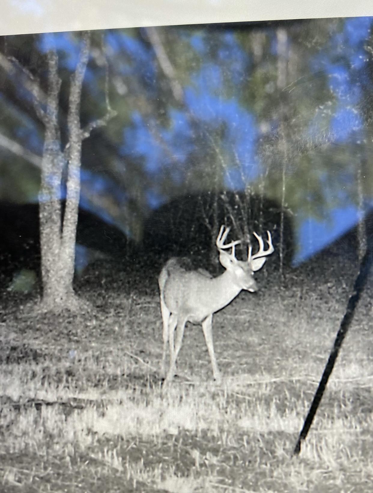 WALTON PLANTATION - Land