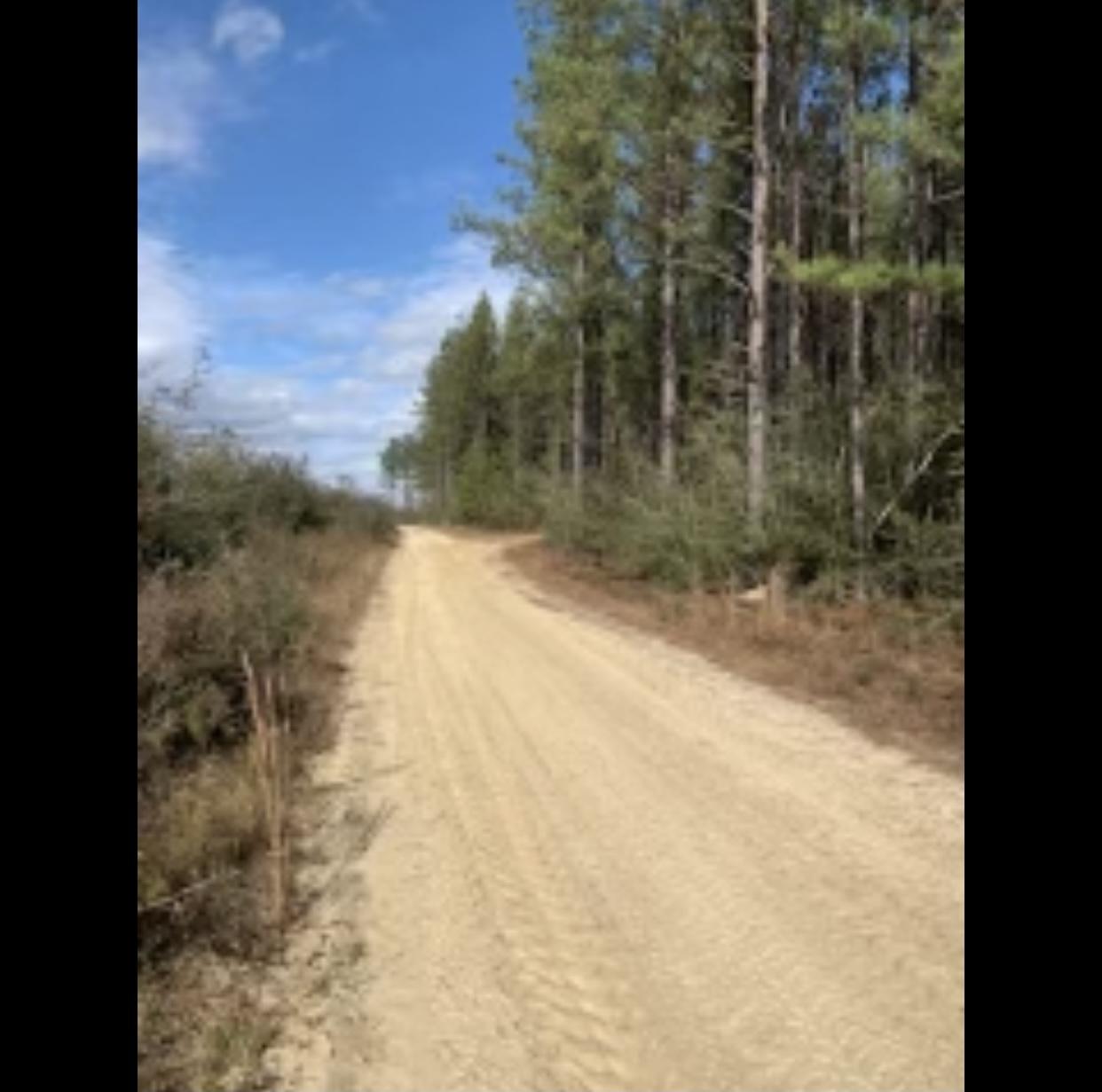 WALTON PLANTATION - Land