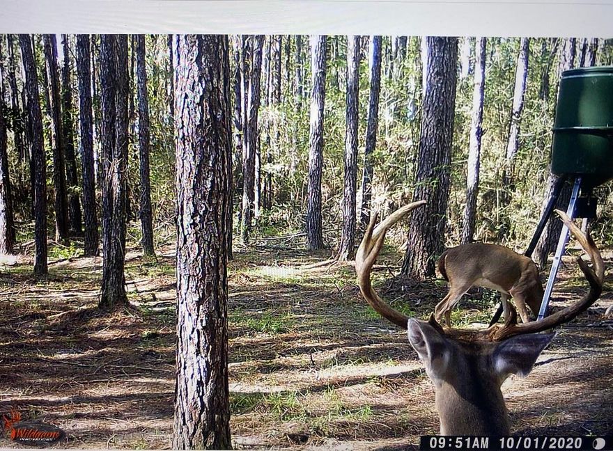 Are you looking for the perfect private place to build your dream home? Walton Plantation is a gated community for outdoor and hunting enthusiasts. There is access to a rustic outdoor chapel for owners use, public restrooms, ponds for fishing, a community garden, ATV riding trails, equestrian trails, and a hunting club. From this location, you can be at the beaches along the emerald coast in an hour. This particular parcel is completely wooded and ready for your dream home or getaway cabin. This property also has a lot of wildlife.