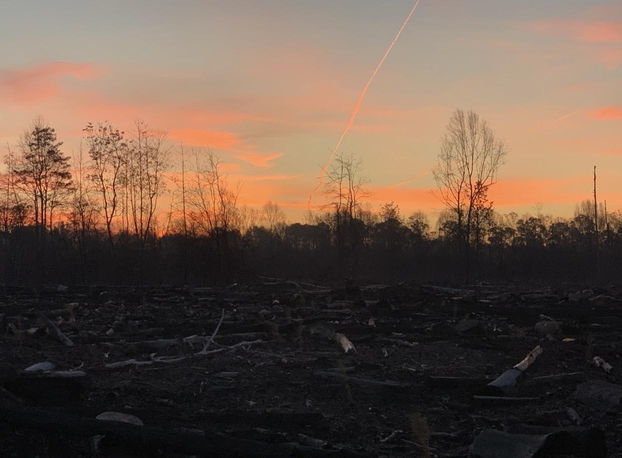 WALTON PLANTATION - Land