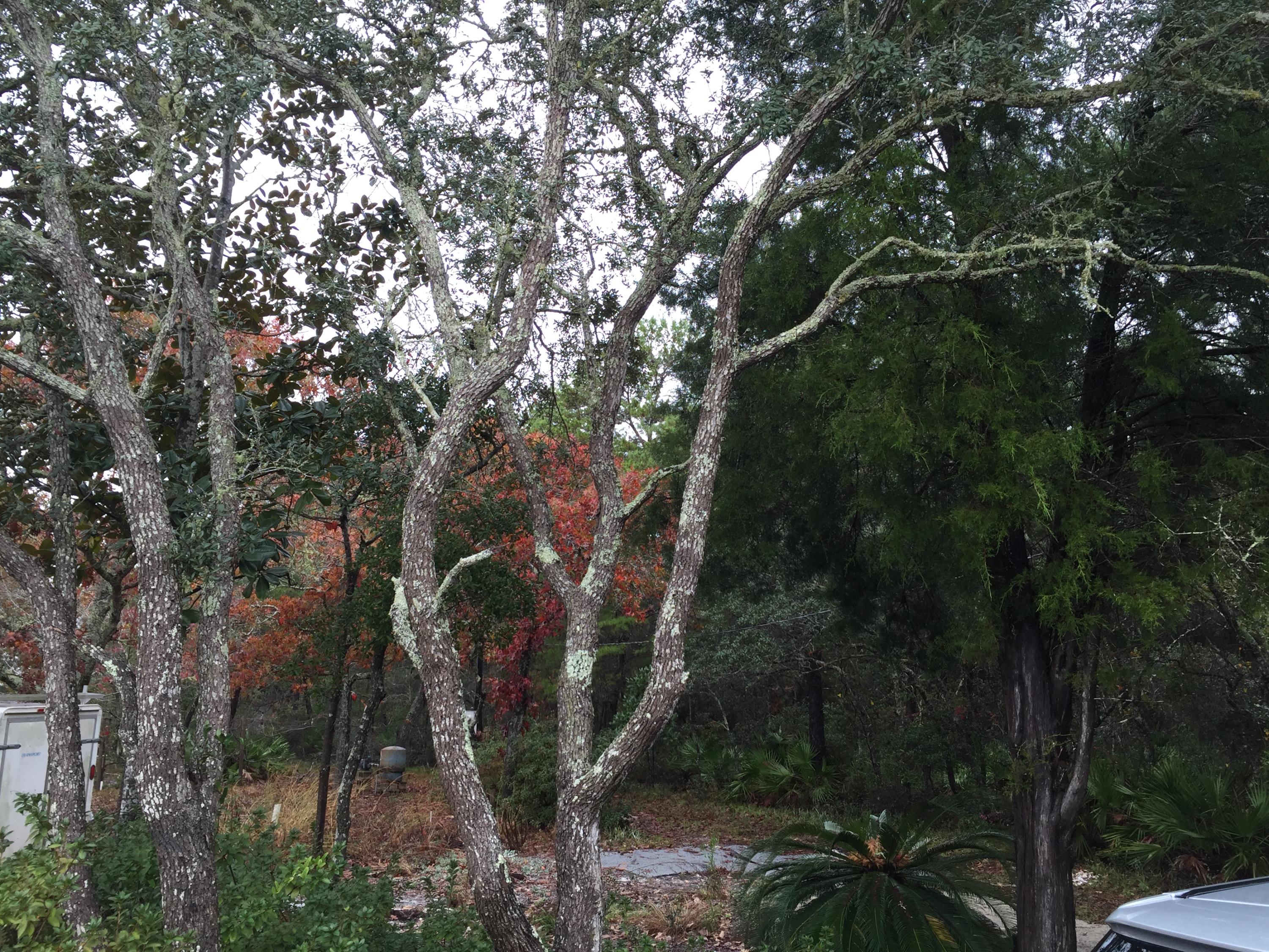 EASTERN LAKE ESTATES - Land