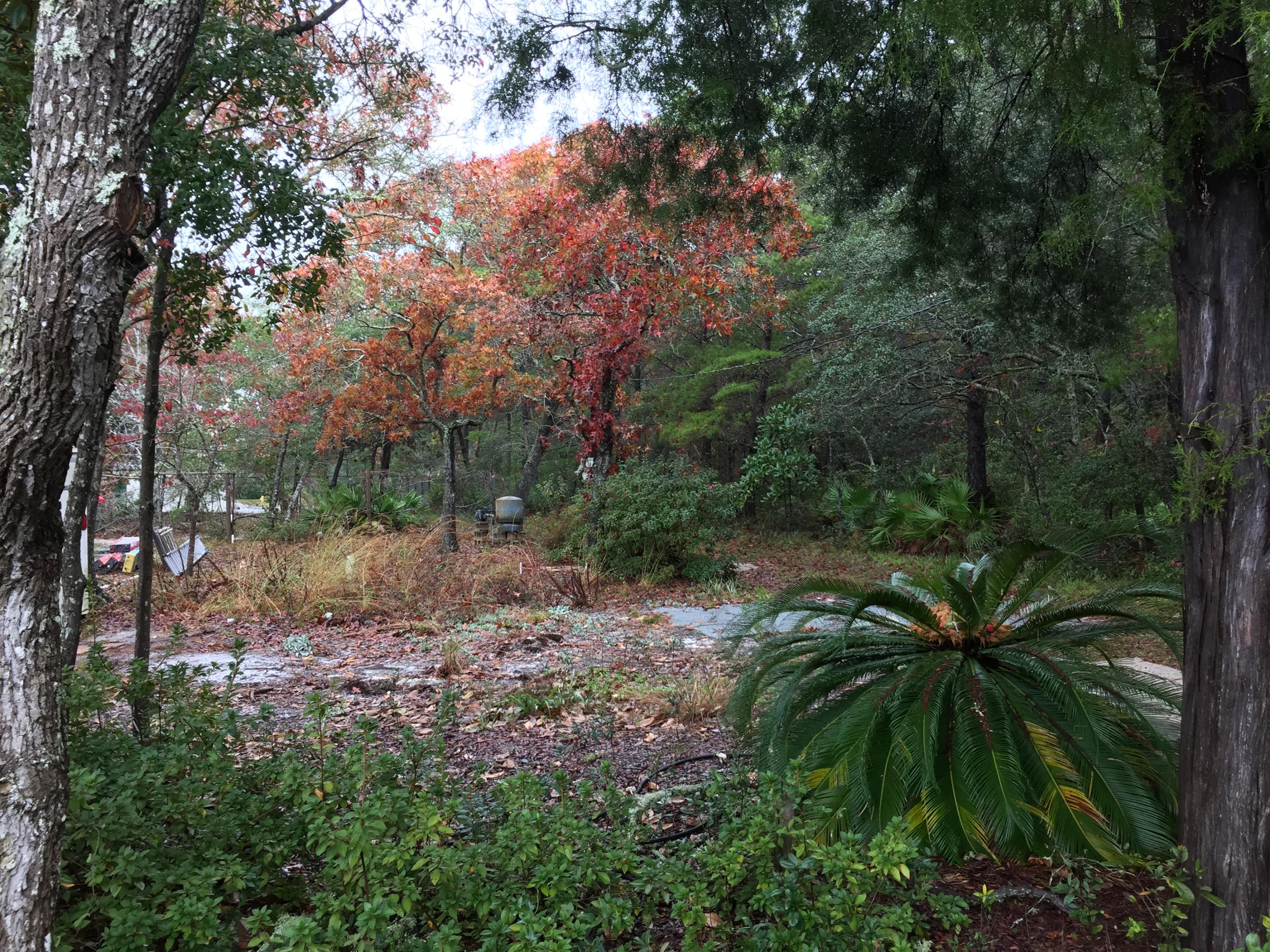 EASTERN LAKE ESTATES - Land