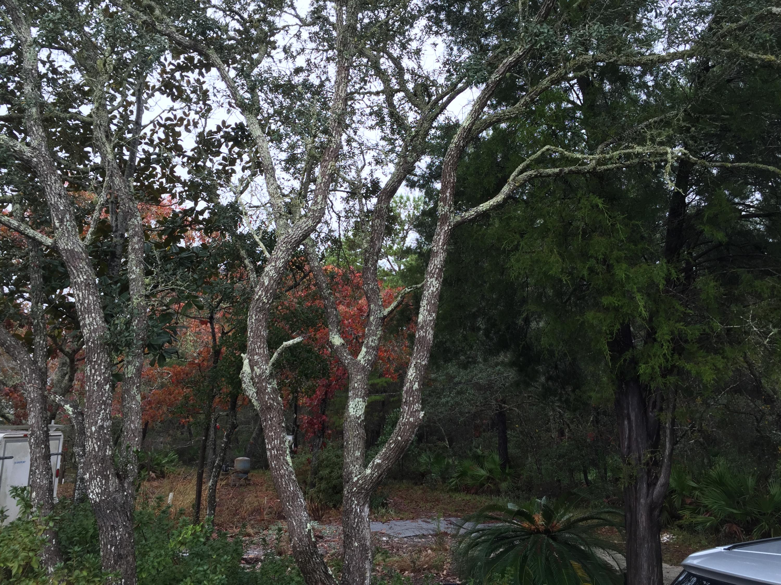 EASTERN LAKE ESTATES - Land