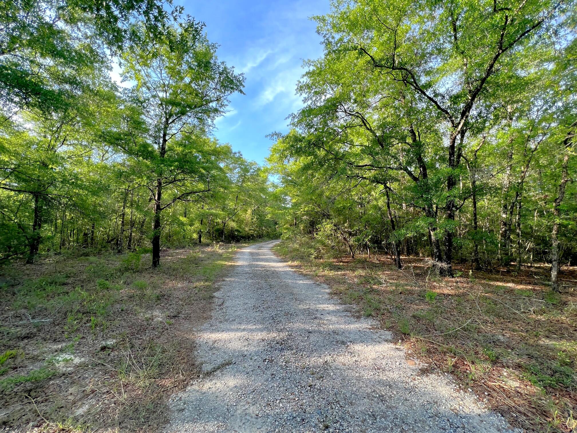 SPRING HILL ESTATES - Land