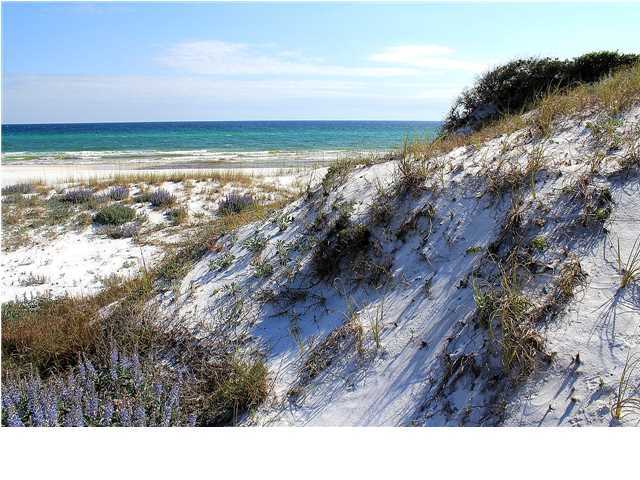 DEER LAKE DUNES - Land