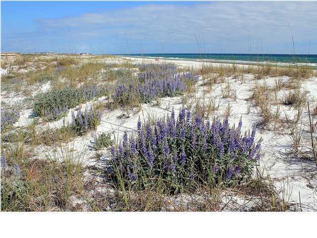 DEER LAKE DUNES - Land