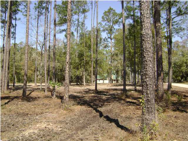 LAND USE ON THIS LOT IS RESIDENTIAL/NEIGHBORHOOD COMMERCIAL AND HAS BEEN APPROVED BY THE CITY OF FREEPORT. COPY OF THIS PORTION OF THE FREEPORT LAND DEVELOPMENT CODE IS IN THE FILE. IT LISTS USES PERMITTED. ALL ARE SUBJECT TO APPROVAL BY THE CITY OF FREEPORT. LOT HAS PAVED ROAD FRONTAGE ON 2 SIDES. CITY UTILITIES ARE AVAILABLE. SCATTERED TREES ARE ON PROPERTY. CORNERS ARE MARKED. 2 ADDITIONAL LOTS (ZONED R-3) JOINING TO THE NORTH ARE ALSO AVAILABLE (MLS #S 419177, 419179). PRICE IS $199,000 EACH. ALL 3 LOTS WOULD GIVE A TOTAL PARCEL SIZE OF 1.44 ACRES. ANY COMMERCIAL PROJECT MUST ENTER FROM BLUEBERRY RD. NEW COMMERCIAL CONSTRUCTION IN NEIGHBORHOOD. ATTACHED SURVEY IS OF ALL 3 PARCELS OWNED BY SELLER. PARCEL 1 IS THE COMMERCIAL PARCEL.