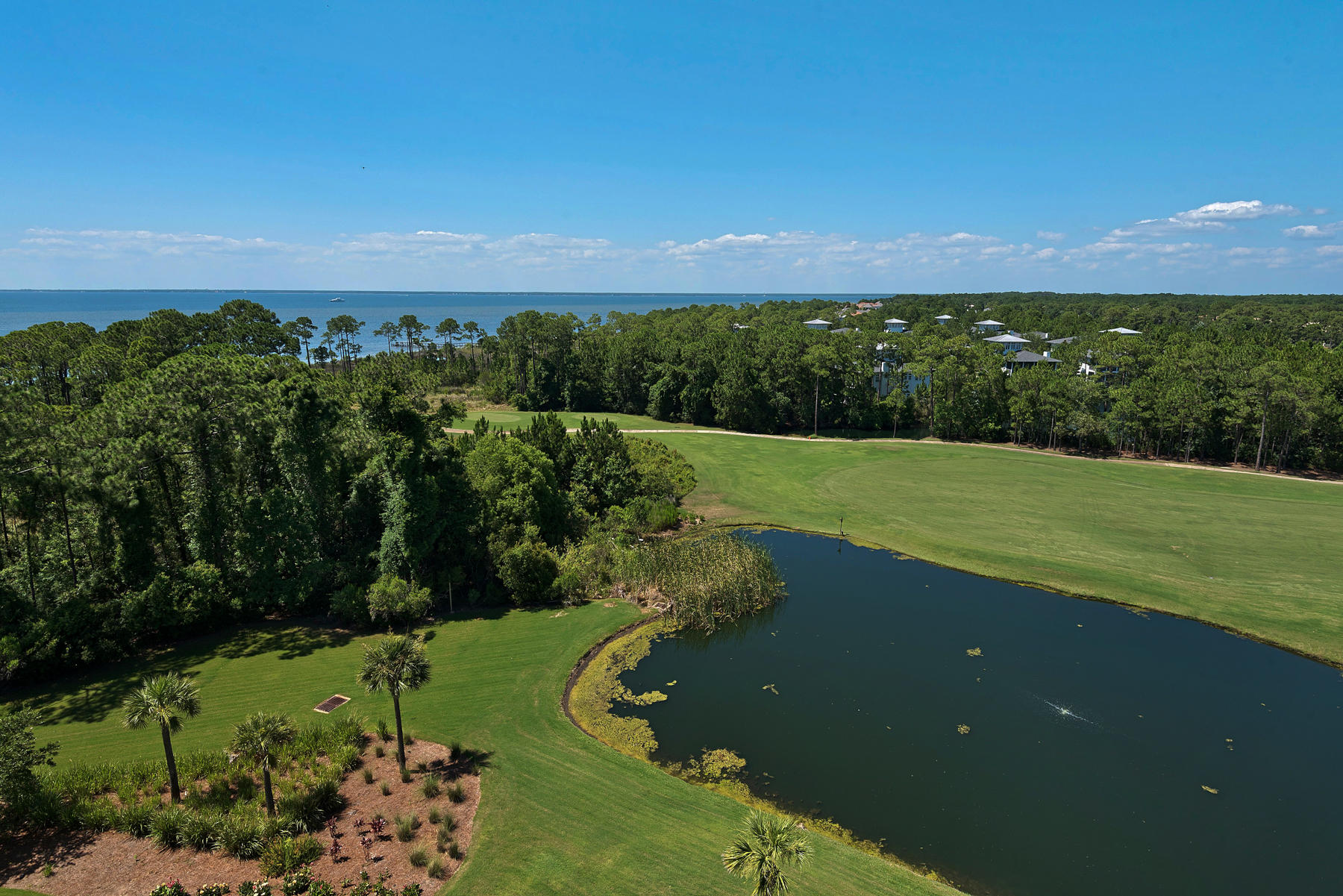 ELATION - Residential